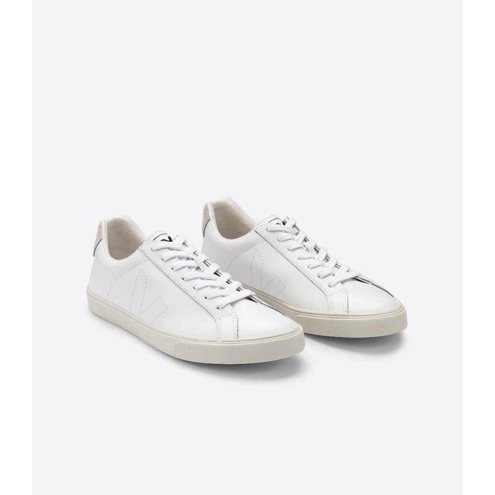 Veja ESPLAR LEATHER Tenisky Panske Biele | SK 308JPQ